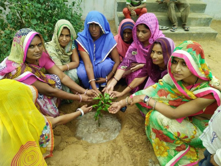 हिरनोदा में हर साल पौधारोपण और खेल-कूद प्रतियोगिता