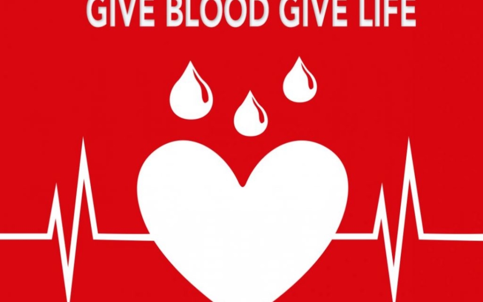 HIRNODA BLOOD DONATION (1)