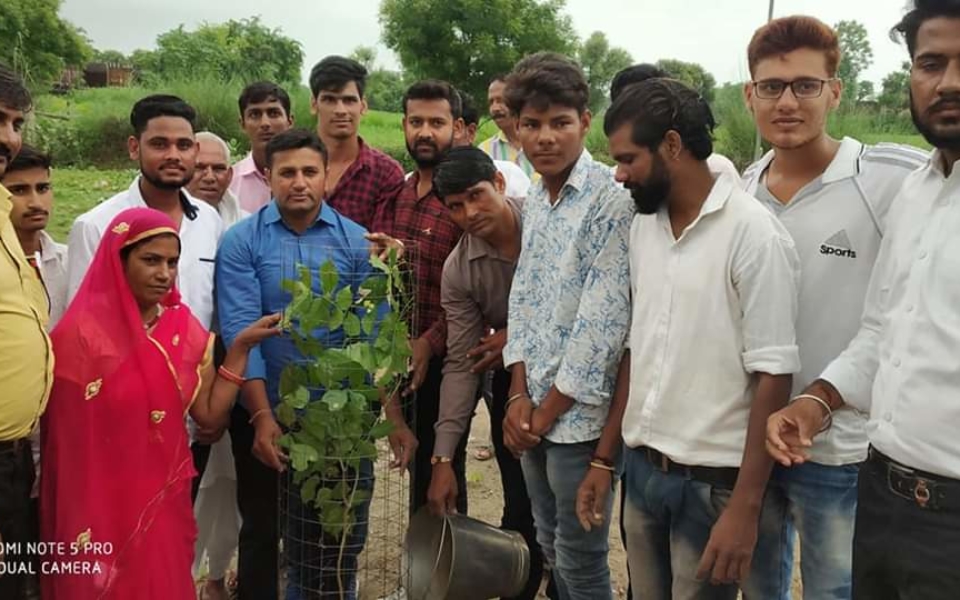 HIRNODA TREE PLANTATION (1)