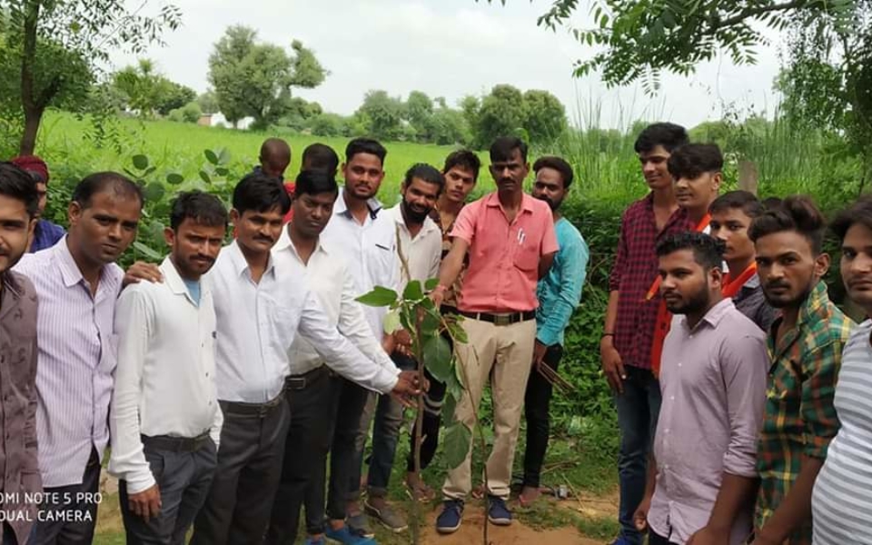 HIRNODA TREE PLANTATION (2)